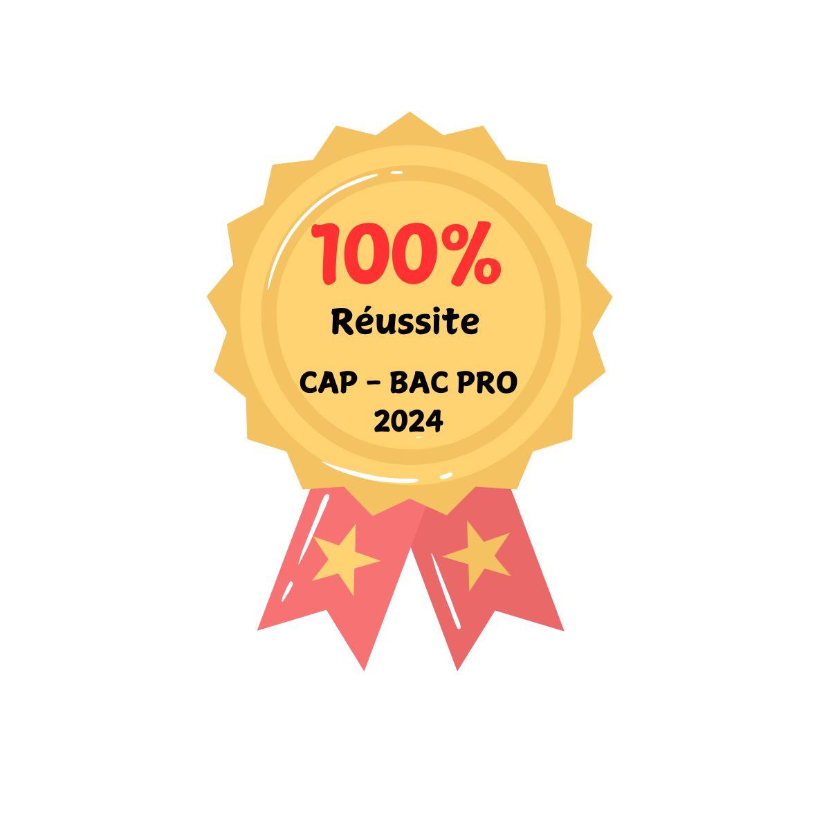 100% de réussite : CAP et Bac Pro 2024