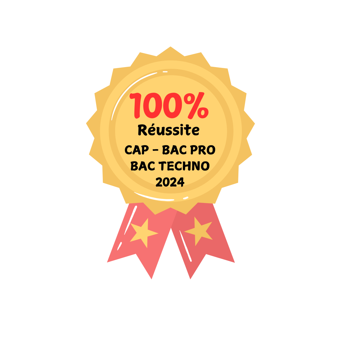 100% de réussite : CAP, Bac Pro et Bac Techno 2024